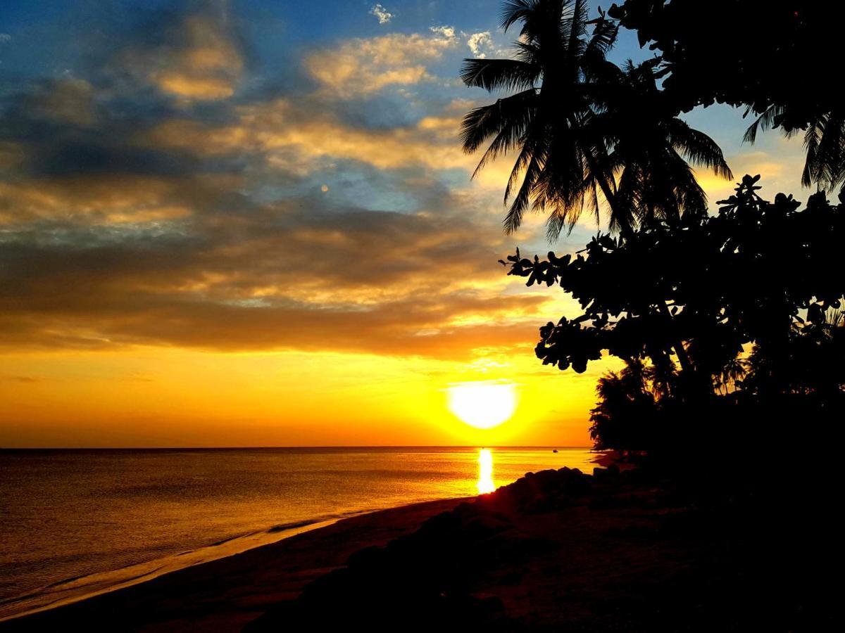 Islandlife Bungalows トンサラ エクステリア 写真